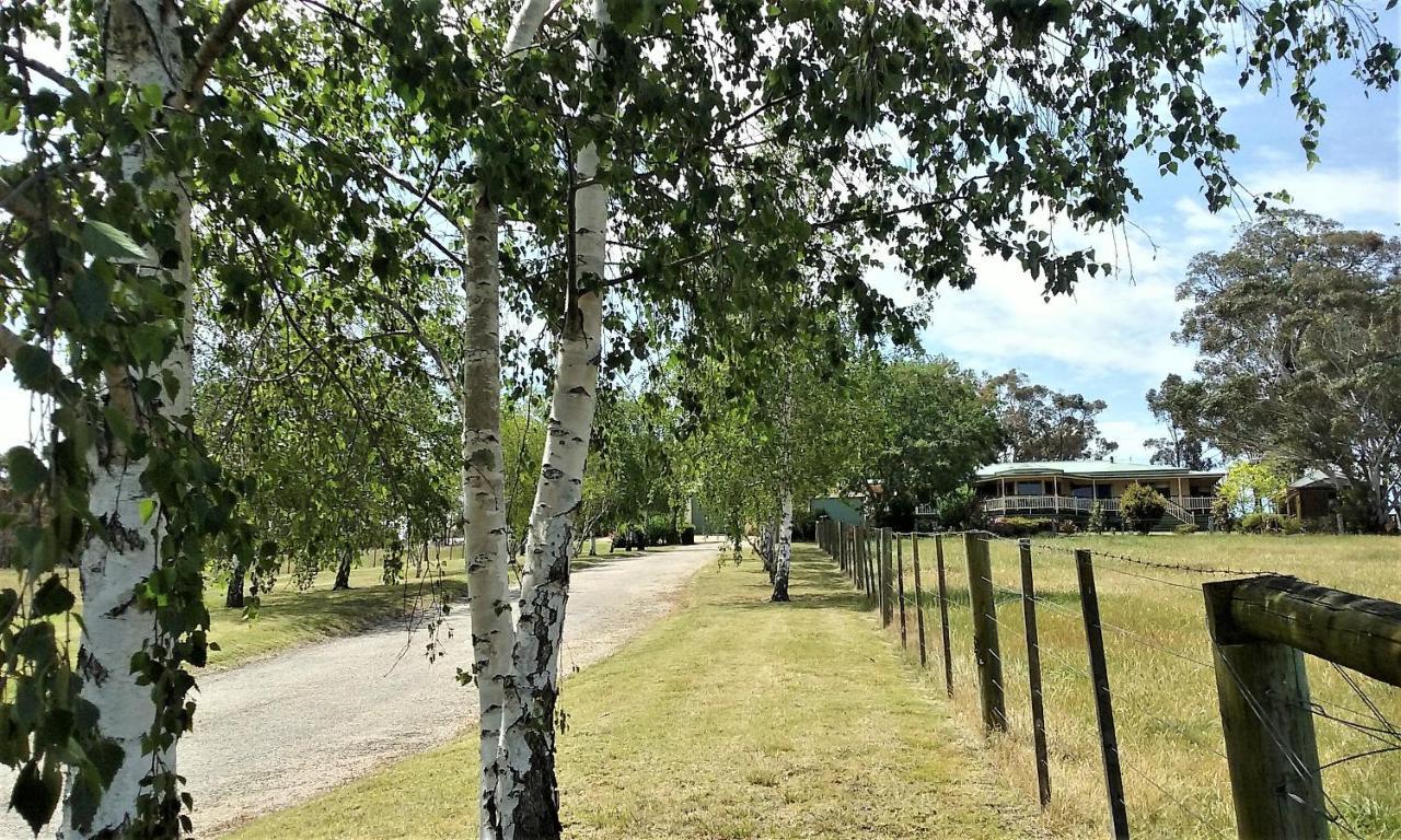 Nicholson Bnb And Arts Centre מראה חיצוני תמונה