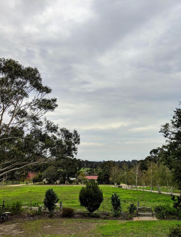 Nicholson Bnb And Arts Centre מראה חיצוני תמונה